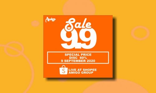 promo 9.9 web