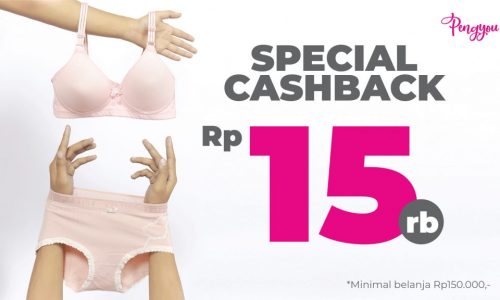 Voucher-AMAPPS-Pengyou (1)